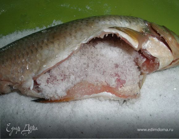 Выпотрошим рыбку и вырежем жабры, не чистим от чешуи. Теперь займемся посолом, возьмем емкость в которой будем солить и насыпаем на дно соли небольшой слой. Кладем рыбку, хорошо посыпаем солью внутри брюшка и жаберные щели.