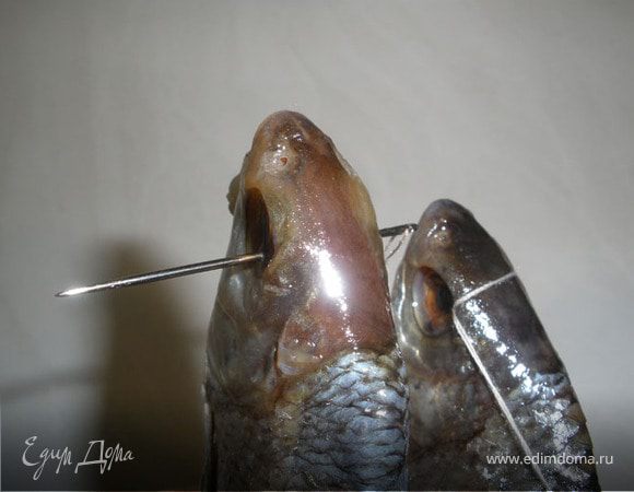 Теперь нанизываем наши рыбки на нитку, для этого возьмем иголку вставим нитку  двойную и прошиваем через глаза, на расстоянии 7-10 см,  рыбку лучше вешать за голову, чтобы жир не стекал через рот рыбки.