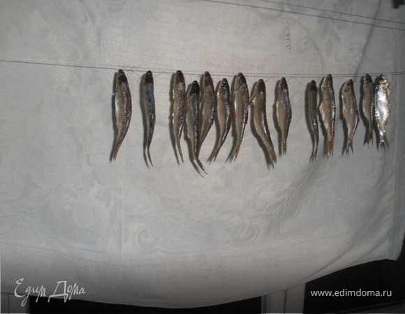 Так как у меня солнечная сторона, то с помощью старой простыни создаю тень, вот так…
Теперь самое сложное нам надо не допустить к рыбе мух (мне повезло у меня балкон застеклен и с москитными сетками). Говорят, но я никогда не делала, что можно смазать рыбу мазью от мух: на 1 часть уксуса 3 части пахучего подсолнечного масла. Или сделать так как делал мой дед, накрыть рыбу марлей, но не просто накрыть, нам надо обеспечить, чтобы и мухи не могли добраться к рыбе и чтобы марля не касалась ее, для этого делается специальный каркас или вставляются распорки, тут уж как кто придумает.