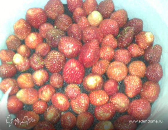 Для второго торта "Клубника под облаками" взять разъмную форму в котором готовился бисквит.
Бока можно покрыть пергаментной бумагой.
На низ положить корж.
Выложить на него клубнику.