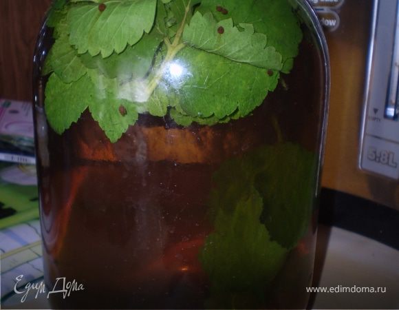 ... и заливаем все кипятком. Закрываем крышкой и ждем пока остынет.