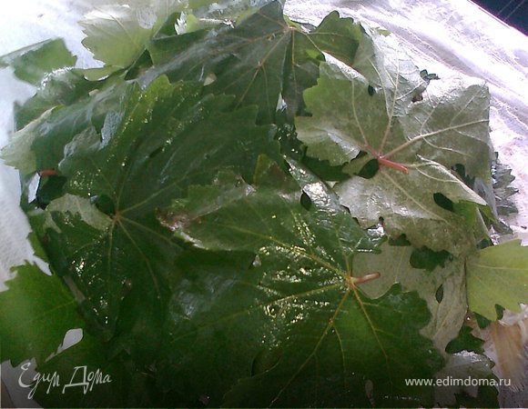 сверху кладём 1 рыбу а на неё листья