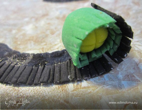 Затем в черную, предварительно смочив бахрому водой.