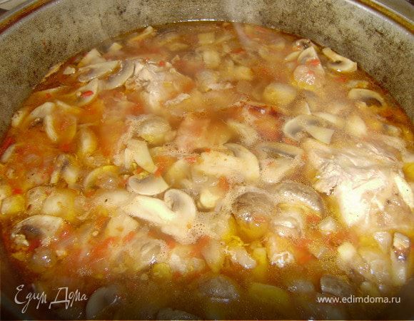 Грибы промыть и нарезать пластинками...Томатную пасту развести в 2-3 ложках бульона из кастрюли. Смешать грибы и пасту с бульоном и добавить в кастрюлю и тушить до полной готовности около 25-30 минут... 