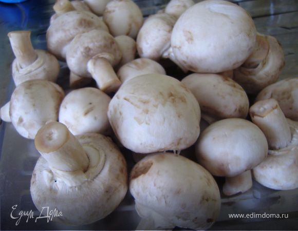 Берем грибы, хорошо промываем, высушиваем..