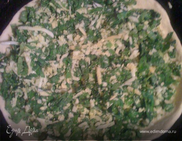 Раскатываем тонко тесто, кладем на сковороду или противень. 
Выкладываем начинку: смешиваем мелко нарезанный шпинат, растолченный с солью, натертый сыр, вареное яйцо, немного оливкового масла.