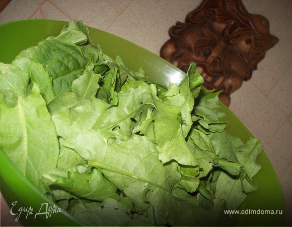 Щавель собрать с грядки, хотя если Вы были в лесу и собрали дикий щавель честь Вам и хвала...) Очень часто он имеет более яркий вкус и запах.) оборвать стебли. Тчательно промыть...Я замачиваю листь я в холохной воде...постоянно их перемешивая и меняя воду..