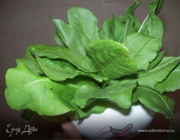 Далее 3 варианта
Варинт №1
Вы ставите щавель в воду и он остается свежим в Вашем холодильнике несколько дней...