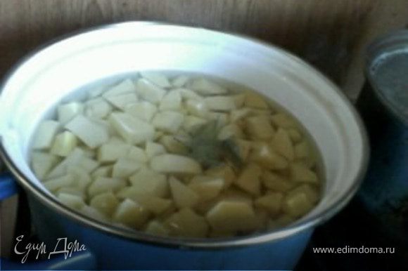 Картошку очистить, порезать на небольшие кусочки и поставить варить. Посолить и добавить лавровый листочек.