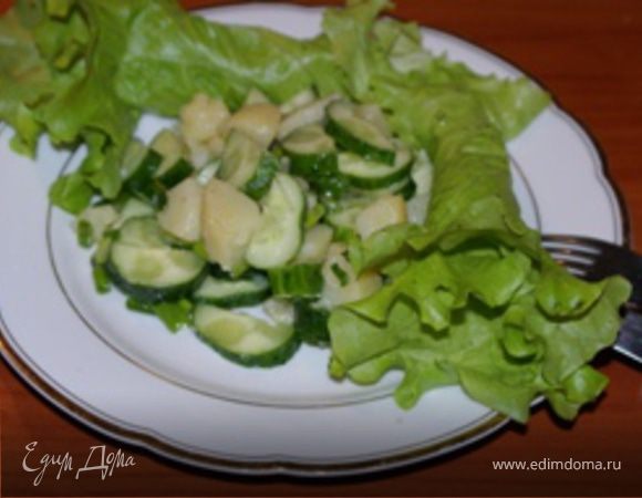 Выложить салат на тарелку, украсить и можно подавать. Можно использовать как самостоятельное блюдо. Приятного аппетита!