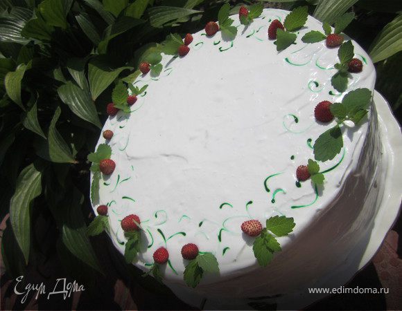 При желании торт можно еще покрыть взбитыми сливками. (100 гр. сливок+50 гр. сахарной пудры+ 1 п. загустителя сливок).
И украсить клубничкой или земляничкой и листиками мяты.