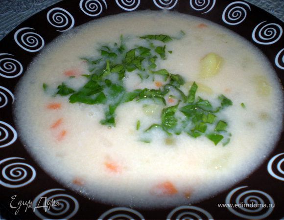 Влить в суп молоко и варить еще 5-6 мин.
Петрушку мелко нарубить,при подаче посыпать суп зеленью.