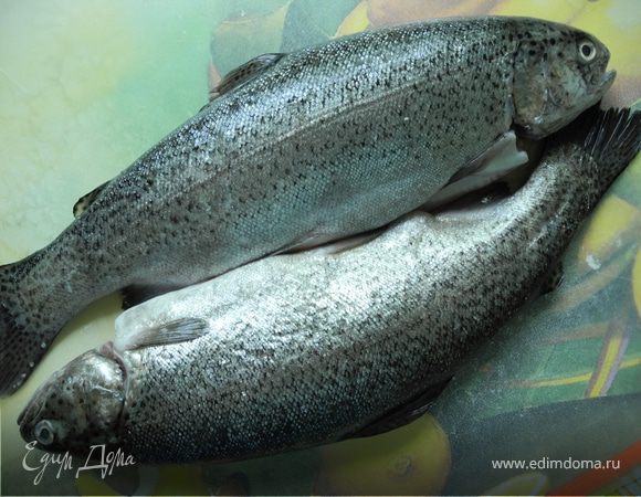 Форель промыть и обсушить бумажным полотенцем.