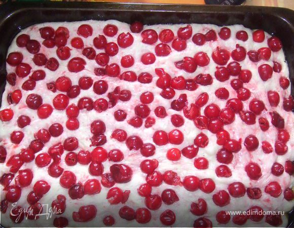 Форму для выпекание смажете маслом, и выложите тесто. Выложить ягоды на лепешку, слегка прижать, чтобы они наполовину погрузились в тесто.