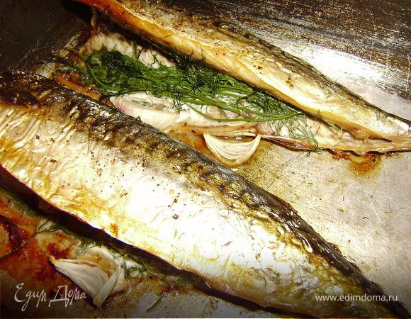 Разогрела духовку до 180С...Выложила рыбку на противень....сбрызнула оливковым  маслом и на 40 минут в духовку.... И все рыбка готова... Очень вкусно... Приятного аппетита..