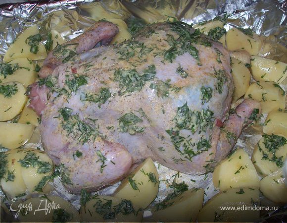 высаживаем цыпу на протвень и присыпаем его сухим чесноком. Реежем картофель и обваливаем его в зеленом масле, солим, перчим, выкладываем его к цыпе