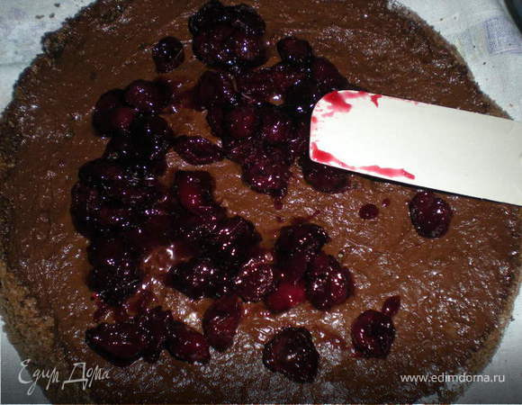 Намазать шоколадным муссом,отступая от края 2,5см.Выложить клюкву/вишню.