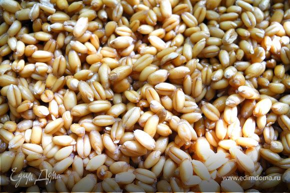 Заранее замочить в небольшом количестве воды пшеницу, оставить примерно на сутки, чтобы появились белые росточки.