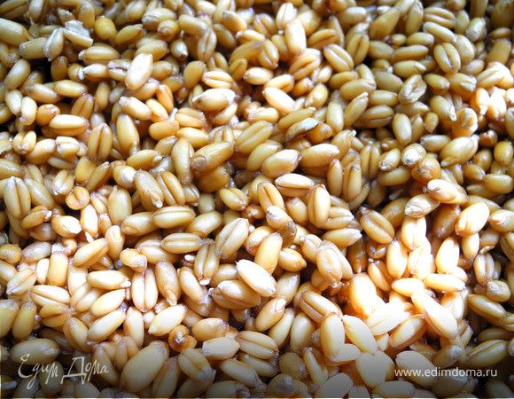 Заранее замочить в небольшом количестве воды пшеницу, оставить примерно на сутки, чтобы появились белые росточки.