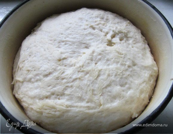 После замеса тесто сформировать в шар, положить в подходящую форму, закрыть и оставить подходить на 2 часа. Оно должно увеличится в объеме в 2-3 раза. 