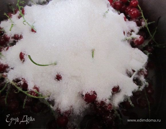 Смородину, сахар, воду поставить на огонь.
