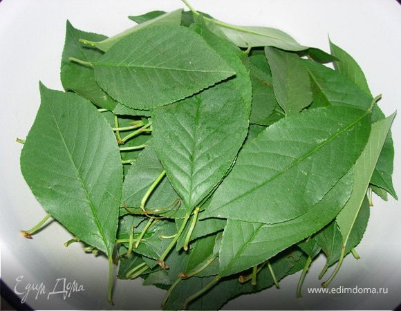 В кипящую воду кладем ягоды и листья - кипятим 20 мин. 