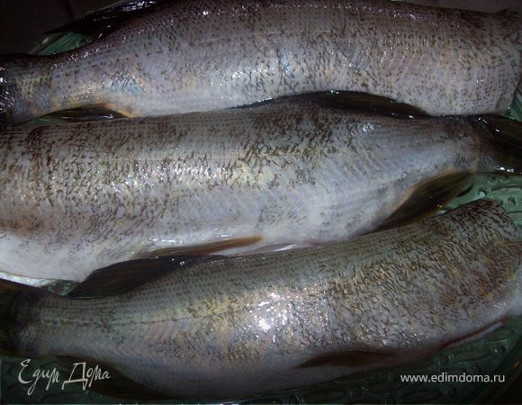 Варим рыбу, я приготовила рыбу в пароварке