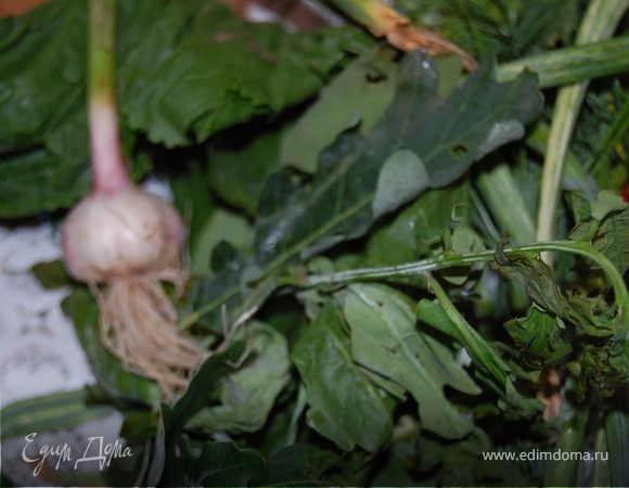 Зелень для засола как следует вымыть