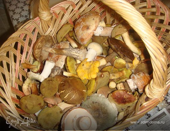 Грибы почистить, помыть, порезать на приемлемые для вас кусочки(не сильно мелко, ведь после варки грибы уменьшатся в размере!) и закипятить в подсоленой воде.
поварить минут 10-15