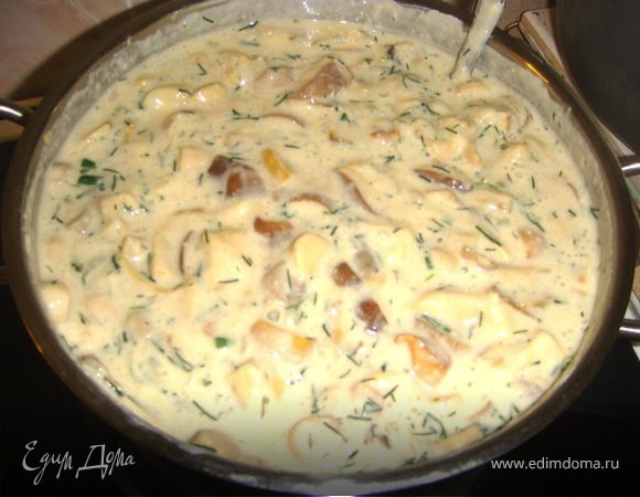 Тем временем делаем заправку. Смешиваем сметану, желток и муку. Когда грибы сваряться добавляем заправку и хорошо вымешиваем, доводим до загустевания.
Добавляем соль, перец по вкусу и мелко порезанный укроп.