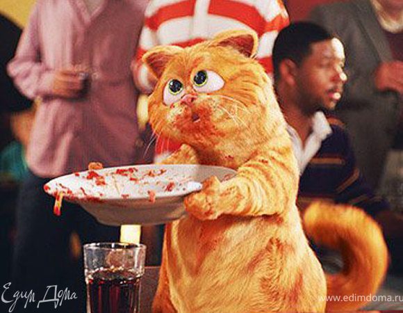 И...как говорил настоящий мультяшный любитель лазаньи про свою жизнь: "Еще раз моя жизнь была спасена чудом и лазаньей!"