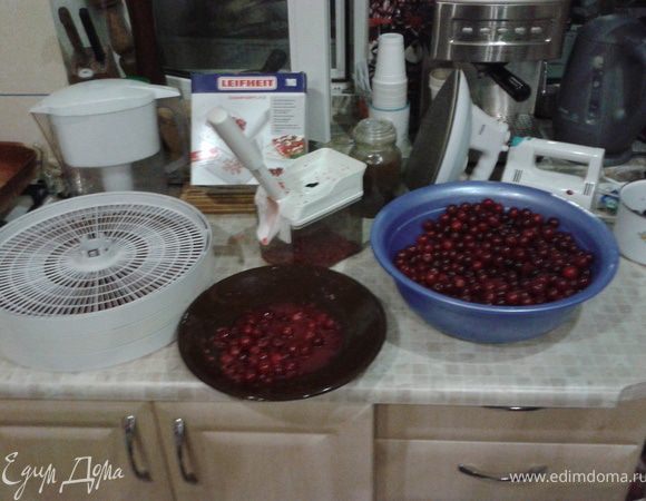 На втором плане по центру машинка для удаления косточек. Очень удобно. Одна секунда одна вишенка. Просто насыпаешь горсть и щелкаешь. Вишни отдельно падают на тарелку а косточки в контейнер.