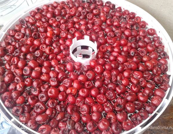 Сушить нужно на средней температуре. По книге написано 14-24 часа, но у нас было очень влажно (сушку я ставлю на незастекленном балконе. В помещении не желательно). И она у меня сушилась почти два дня.