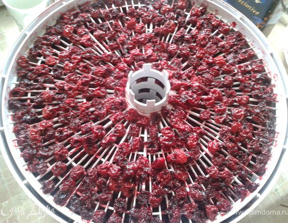 До такого вот состояни. Она осталась мягкой (с небольшим количеством жидкости). Ее нужно плотно сложить в баночку и отправить в холодильник до востребования :-)