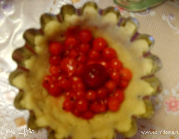 смородина, вишня