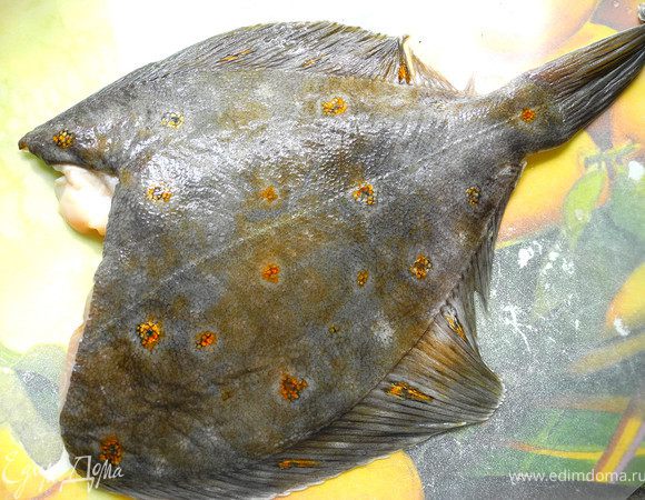 Камбалу промыть, обсушить.