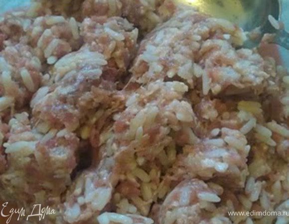 Мясной фарш смешать с яйцом, рисом, мелко нарезанным луком (от луковицы в фарш идет 1/3 - остальное режется кольцами для выкладки сверху). Для сочности можно добавить пару ложек холодной воды. Приправить солью и специями. 