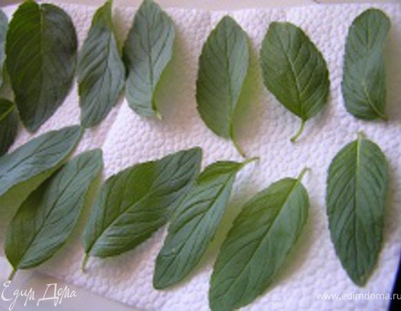 Мяту промыть, отобрать самые красивые листочки, обсушить.