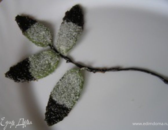 Сборка. На выбранном блюде нарисовать "веточку" растопленным шоколадом. Затем разложить листики.