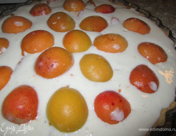 Выложить оставшиеся абрикосы.
Выпекать в духовке 20-25 минут, при температуре 180 гр.
После выпечки, оставить остывать в приоткрытой духовке.