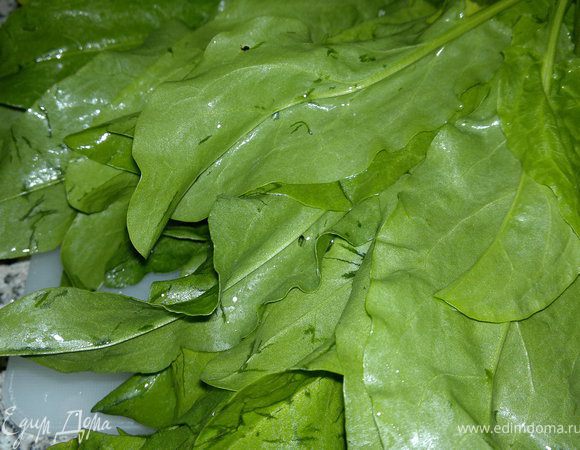 Порезать щавель. Пучок лучше взять побольше.