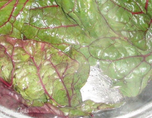 Ботву бланшировать  (для того, что бы она стала мягкой и не ломалась при заворачивании).
