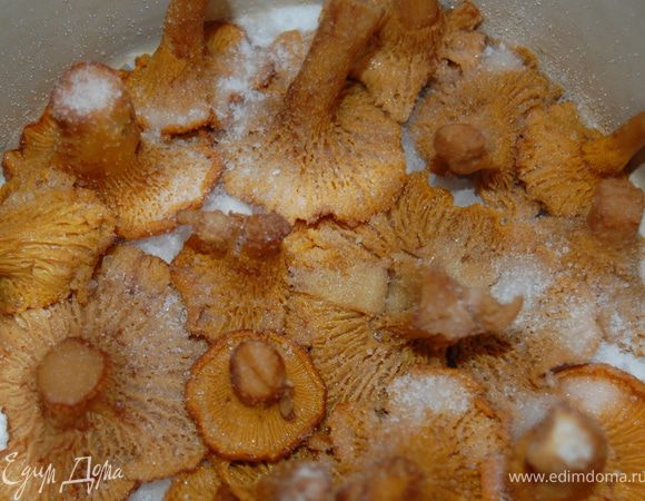 Уложите грибы в ёмкость (эмалированная кастрюля, глиняный горшок, стеклянная посуда, деревянная бочка) шляпками вниз, дно предварительно посыпьте солью. Сверху лисички снова посыпьте солью. Далее: еще слой грибов и слой соли. Соль берите из расчета 50 г на 1 кг грибов. На грибы положите дольки чеснока. Поставьте сверху гнёт.