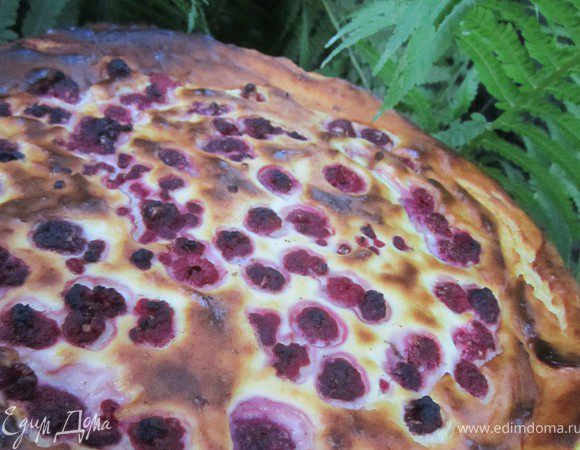 Выложить творожную масу в форму.
По верху выложить ягоды.
Духовку разогреть до 180 гр.
На дно духовки поставить посуду с водой.
Выпекать 20-25 минут.
оставить запеканку в приоткрытой духовке до остывания.