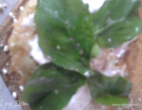 Опять оладушек майонезом, а сверху (на любителя) руколу.