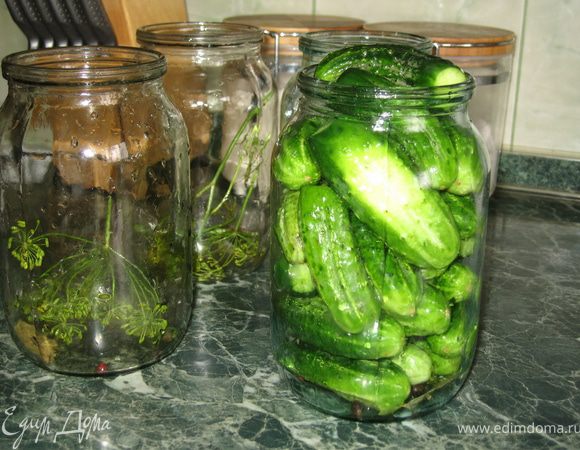 В чистые банки положить укроп,перец горошком,лавровый лист.Уложить огурчики.