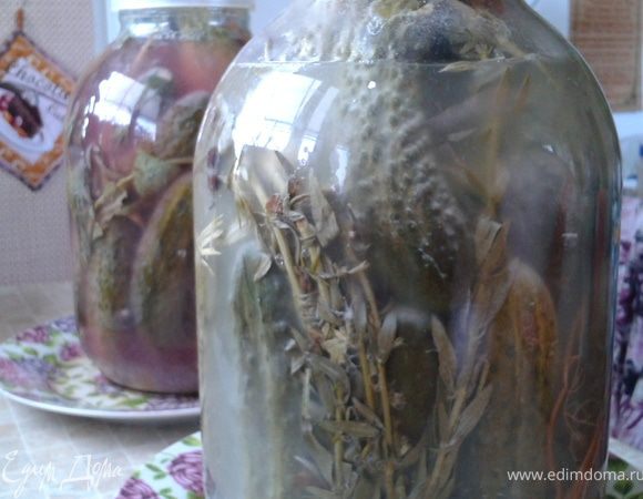 огурцы вымить. Желательно чтобы они были лдного размера. Если они разные тогда разделить в разные банки. Зелень тоже хорошо промыть.  Чесок почистить. На дно банок уложить зелень, чеснок, перец. Огурцы плотно разложить по банкам. Засыпать каменной или морской пищевой солью. Залить холодной свежей водой. Закрыть капроновой крышкой. Оставить на кухне на пару дней. У меня вообще простояли четвре дня и не пеоекисли. Руки до них не доходили. А вообще где-то на второй-треттц день лучше отерыть и попробовать огурчики. Время зависит от сорта и размера.