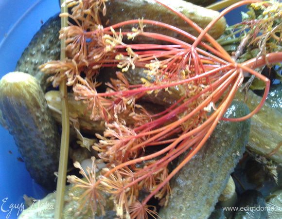 Вытянуть все содержтимое в миску. 