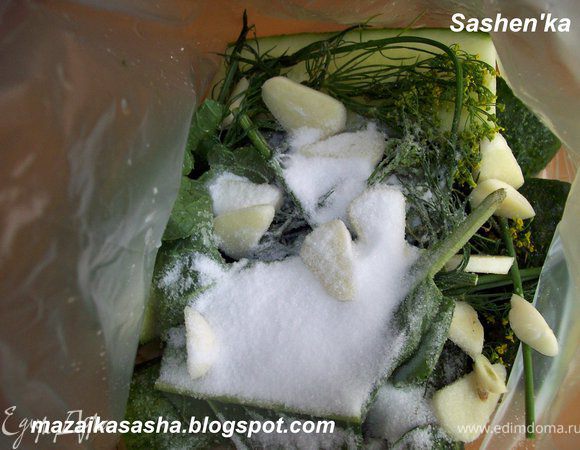 кладем огурцы в пакет, туда же отправляем зелень, соль и нарезанный кружочками чеснок.