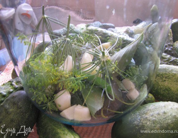 на дно банки кладу вишневые листья, кусочки хрена, зубчики чеснока, зонтики укропа